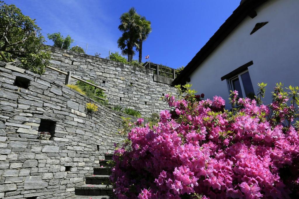 Ferienwohnung Casa Micheroli Gordola Exterior foto